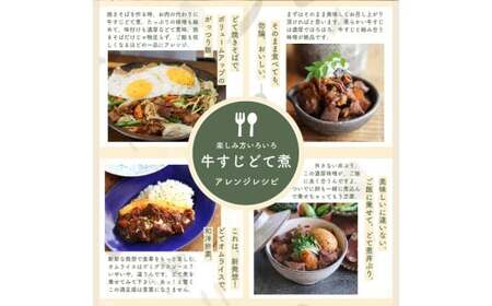 【レトルト食品】牛すじどて煮（150ｇ×10パック） レトルト 牛肉 おつまみ おかず