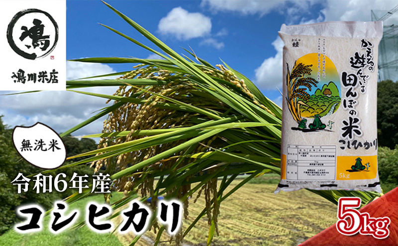 
コシヒカリ 乾式無洗米 5kg 令和6年産 [№5346-0383]
