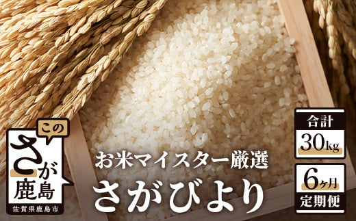 【11月より発送開始】定期便 6ヶ月 佐賀県産 さがびより 白米 5kg《6ヶ月連続 毎月お届け》F-28 6回