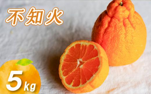 【2026年3月中旬より発送】 不知火 5kg