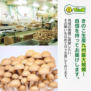 シメチャンジャセット（180g×5パック）　AT02