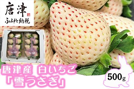 『先行予約』【令和8年2月中旬発送】唐津産 白いちご「雪うさぎ」苺 イチゴ 希少 果物 フルーツ ハマファーム