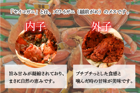 【先行予約/11月7日より順次発送】 「若狭小浜港産地直送」セイコガニ (コッペガニ) ボイル 5杯 / せいこがに コッペガニ 蟹 小浜市 / 加福鮮魚【配送不可地域：北海道・沖縄・離島】[BFBC