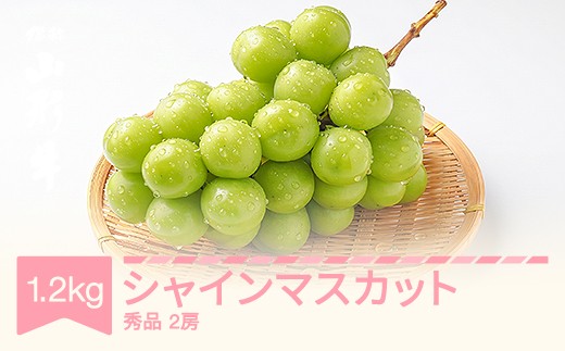 令和8年産 ぶどう シャインマスカット 秀品 約1.2kg (2房) 9月中旬～10月中旬お届け sp-busmx1200