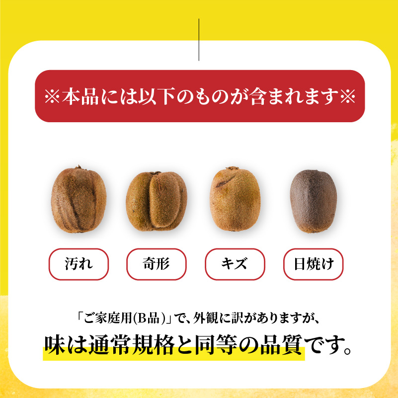 キウイフルーツ ヘイワード 2.5kg サイズ混合 家庭用 【先行予約 2026年10月下旬から発送】 | きうい 果物 キウイくだもの フルーツ おすすめ  人気 お取り寄せ グルメ ギフト 期間限