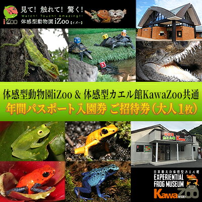 【ふるさと納税】動物園 iZoo 大人1名 KawaZoo 年間パスポート 共通入園券 爬虫類 観光 バナナワニ園 バガテル公園 イズー カワズー 河津町 静岡県　チケット 年パス 日本最大級 近距離 希少な動物 体感型動物園 カエル專門施設 お出かけ