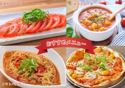 【やさしい甘さ】マイルド麗月トマト 1kg｜まろやか風味・産地直送の完熟トマト