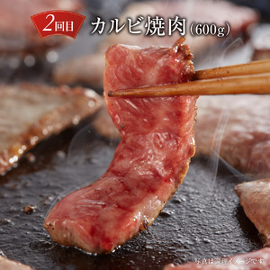 【定期便】飛騨牛（全３回）（ステーキ /焼肉 / ブロック[塊] ) 計1.6kg 全3回 | 焼肉 ステーキ カルビ 牛 定期  飛騨高山ミート MZ101