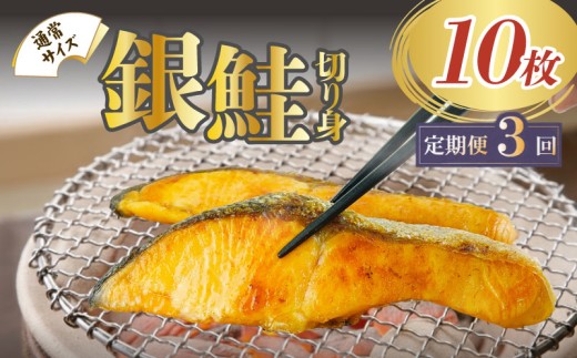 【定期便全3回4ヶ月毎】 銀鮭 切り身 定期便 塩銀鮭 10枚 約1.0kg 冷凍 鮭 さけ しゃけ 切身 魚 海鮮 魚介 贈答 贈物 ギフト 小分け 真空パック 静岡県 沼津市 ヤマカ水産
