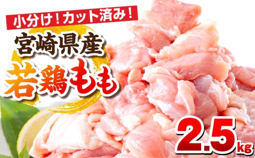 【11月発送予定】宮崎県産若鶏 もも肉 2.5kg（250g×10パック）_M146-008_01_nov