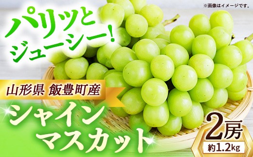 山形県産  シャインマスカット （2房）  - マスカット 2026 山形 2026年発送 果物 フルーツ 山形県 飯豊町 田園サービスいいで