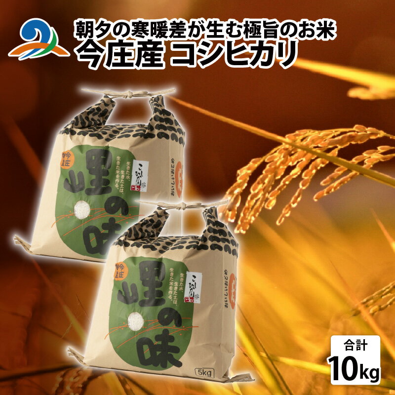 【ふるさと納税】【先行予約】【令和7年産】朝夕の寒暖差が生む極旨のお米 今庄産 コシヒカリ 10kg（5kg×2）11月より順次発送 こしひかり 南越前町 送料無料