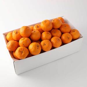 【先行予約】【訳あり】ぽんかん３kg（谷川果樹園）デコポンの親 みかん 蜜柑 ミカン 不知火 しらぬい 柑橘 かんきつ ポンカン フルーツ オレンジ 果物 くだもの 果汁 甘い【R01375】