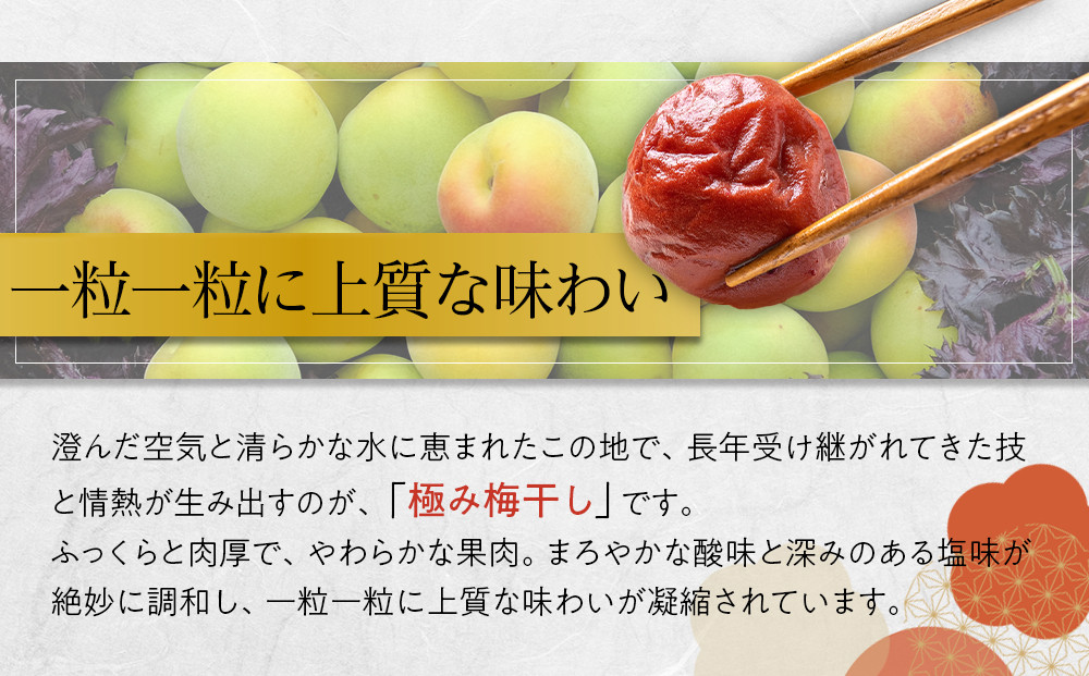 【2026年1月下旬より発送】極み梅干し 塩分約18％ 100ｇ 12パック入り 限定100個