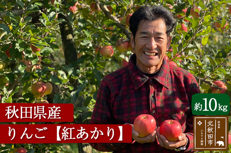 秋田県産 紅あかり りんご 約10kg （ご家庭用）リンゴ【12月上旬～12月末まで順次発送】 [りんご 林檎 リンゴ 国産 果物 フルーツ]|ymdn-021001