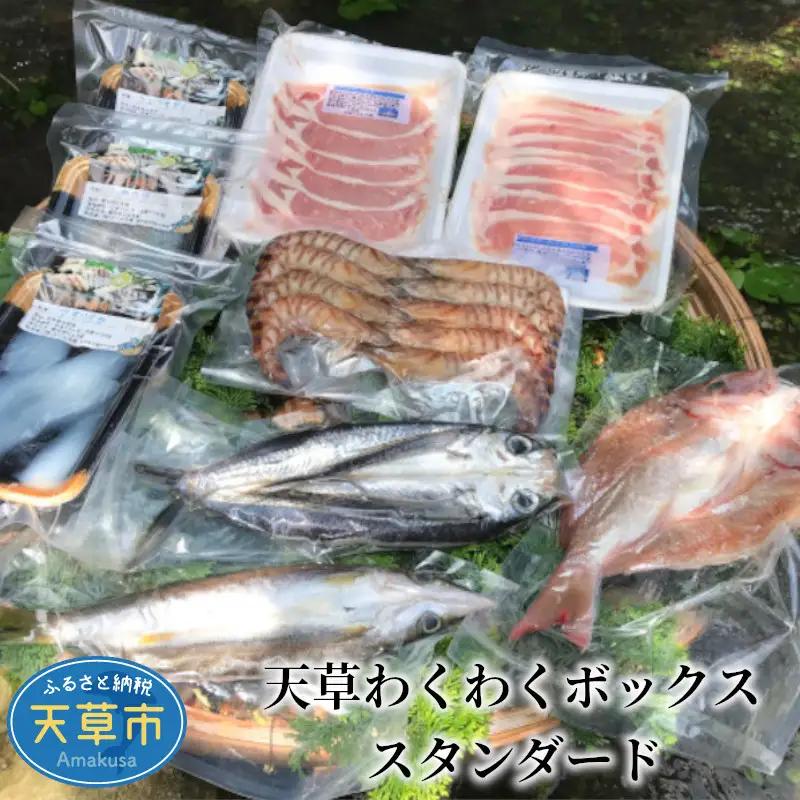 S059-011A_天草わくわくボックススタンダード