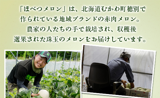 ＜2025年発送先行受付＞ほべつメロン2玉(約1.6kg×2玉)＜むかわ町穂別特産品＞ MKWR002