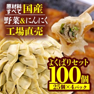 野菜 にんにく ぎょうざ 100個 小分け 冷凍 国産 ぎょうざ