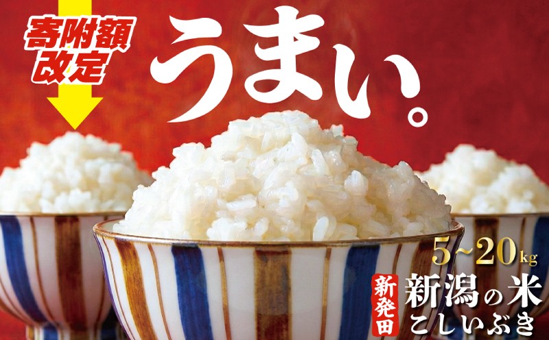 
                  【最短7日発送】新潟限定 こしいぶき 5kg 10kg 20kg 令和7年産 越後の新しい息吹 コシヒカリ の遺伝子を引き継ぐ こしひかり 寄附額見直し 寄附額改定 生活応援 ご飯 備蓄 コメ お米 米 こめ 新潟産 新潟米 新潟県 新潟 新発田 新発田市 国産 新発田市産 斗伸 toushin039P
                