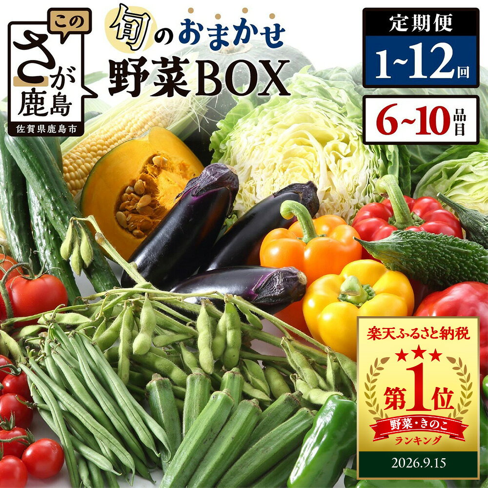 【ふるさと納税】累計28万箱 野菜 定期便 お試し1回～12回【選べる回数・開始月・配送サイクル】1回お試し 3回 6回 12回 6~10品目 旬のおまかせ野菜セット 12ヶ月 6ヶ月 ふるさと納税 野菜 詰め合わせ 定番野菜 産地直送 佐賀県 鹿島市 野菜 ランキング 1位 送料無料 H-13