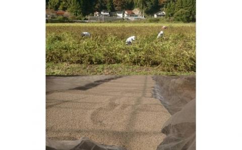 【えごま油】浜田市産 3本 ☆農薬・化学肥料・添加物等一切不使用 調味料 無添加 国産 えごま セット 油 えごま油 【1113】