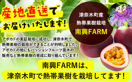 アボカド苗木 5～6号ポット ベーコン種 ピンカートン種 2種セット《30日以内に出荷予定(土日祝除く)》熊本県 津奈木町 南興ファーム アボカド 苗木 農業 ベーコン ピンカートン アボカドサンド 