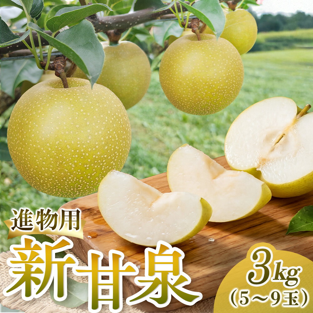 【ふるさと納税】 新甘泉【進物】3kg（三ツ田農園） 鳥取 梨 果物 フルーツ 和梨 新甘泉 しんかんせん 人気 甘い 進物 贈答用 赤秀