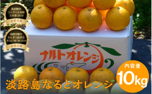 【先行予約】 【数量限定】 淡路島なるとオレンジ 10kg 若宮ミカン農園【2025年4月より順次発送】 / みかん オレンジ フルーツ ミカン 果物 果実 青果 兵庫県 淡路島 洲本市産 農園 農家 有機 幻 まぼろし