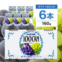 【ふるさと納税】 カゴメ 100CAN グレープジュース 160g×6缶 栃木県 那須塩原市 ジュース 砂糖不使用 フルーツジュース かごめ 果汁 果肉 グレープ ぶどう 葡萄 ブドウ フルーツ 飲料 ドリンク 缶 果物 お取り寄せ ギフト 差し入れ 缶ジュース KAGOME 送料無料