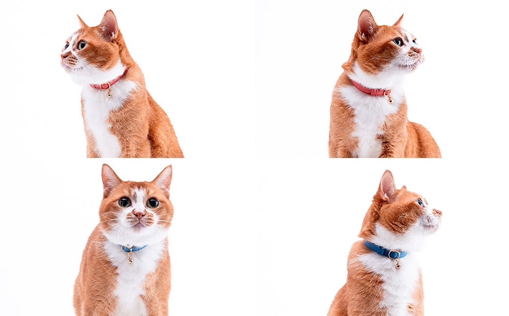 ぽぽねこ 猫首輪 MUJIコットンプレーン