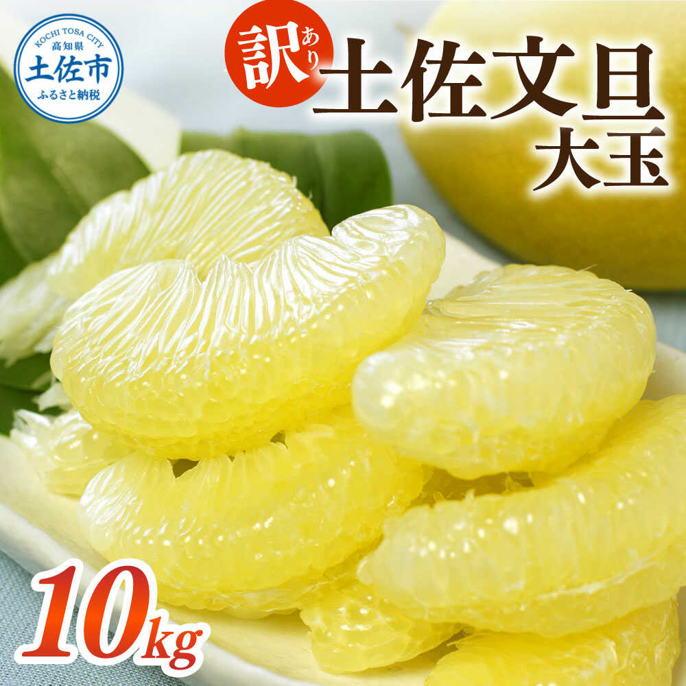 【ふるさと納税】【先行予約】【訳あり】土佐文旦 大玉 訳あり 約10kg（3L～2Lいずれかのサイズ）〈2027年2月中旬～3月下旬頃発送〉土佐文旦 高知 柑橘 フルーツ ぶんたん 果物 甘い 旬 産直 お取り寄せ 季節限定 高知県土佐市/白木果樹園[BQAI058]