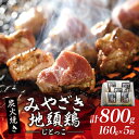 【ふるさと納税】みやざき地頭鶏 炭火焼き 計800g 鶏肉 本格地鶏 チキン 国産 加工品 惣菜 食品 ブランド 小分け 個包装 お取り寄せ 焼き肉 バーベキュー キャンプ アウトドア グランピング おすそ分け おかず ギフト 贈り物 お取り寄せ グルメ 冷凍 宮崎県 日南市 送料無料