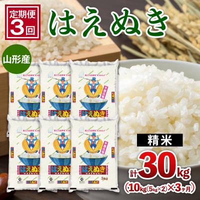 ふるさと納税 山形市 【定期便3回】山形産 はえぬき 10kg(5kg×2)x3ヶ月(計30kg) FZ26-775