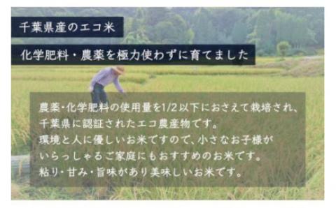 ＜6ヶ月定期便＞千葉県産エコ米「コシヒカリ」5kg×6ヶ月連続 計30kg A023