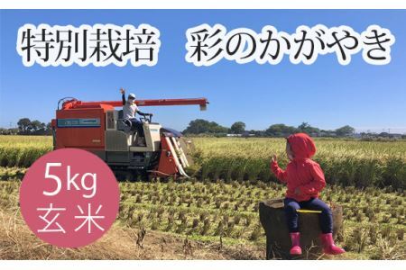 特別栽培 彩のかがやき 玄米５kg No.302