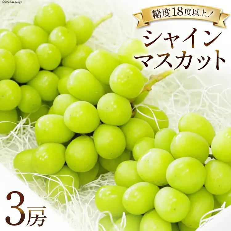 【2026年発送】ぶどう シャインマスカット 予約 約 500g 3房 計約 1.5kg