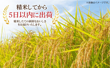 【贅沢な味わい】 令和5年産 スーパープレミアム金のこしひかり 白米 計4kg（2kg×2袋） / 精米 ブランド米 ふるさと納税米 /  佐賀県 / 株式会社森光商店 [41ACBW017]