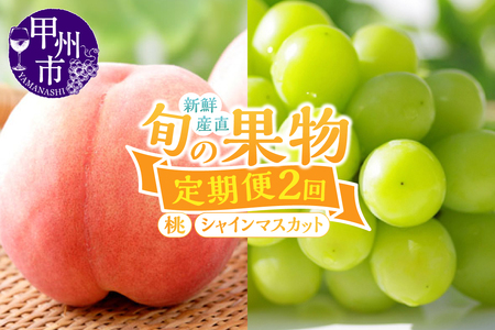 【定期便】新鮮産直！甲州市・桃とシャインマスカット2回定期便【2025年発送】（KSF）B16-126 【桃 もも モモ シャインマスカット 葡萄 ぶどう ブドウ 令和7年発送 期間限定 山梨県産 甲州市 フルーツ 果物】