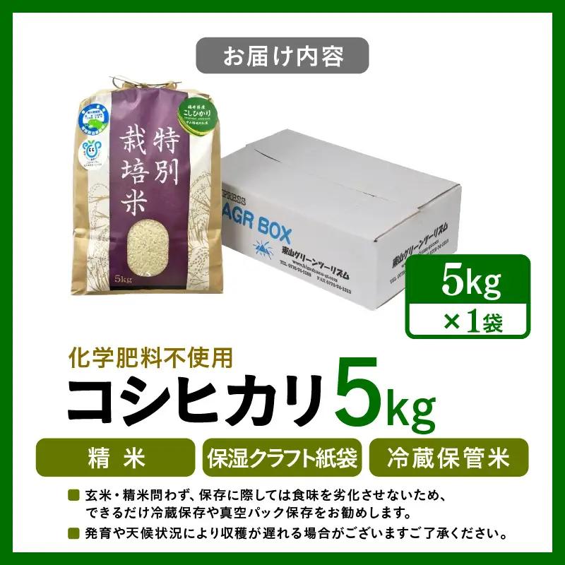 【先行予約】【令和8年産】 化学肥料不使用コシヒカリ 精米5kg（5kg×1袋） / 白米 米 福井県あわら市産 美味しい 特別栽培米 減農薬 安心な米 旨味 甘み もっちり エコファーマー こしひか