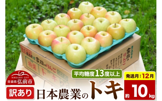 【26年12月発送】りんご トキ【訳あり】約10kg 平均糖度13度以上 青森県 弘前市 果物 フルーツ 林檎 リンゴ くだもの 不揃い 規格外 [先行受付 家庭用 産地直送 アップル 青森県 弘前市]