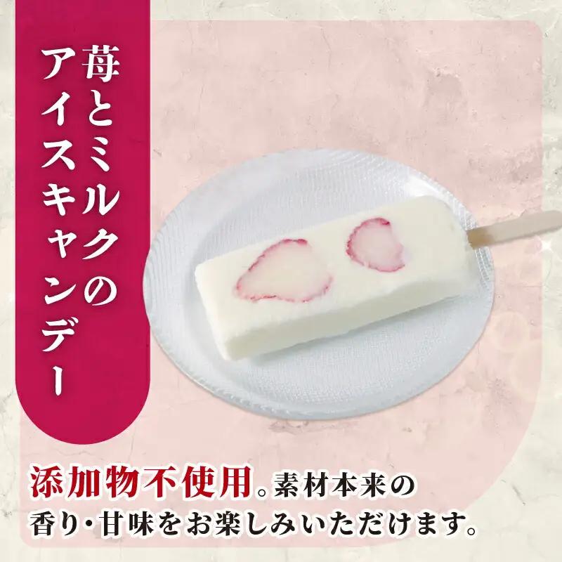 【久保田食品 アイス】苺とミルクのアイスキャンデー20本