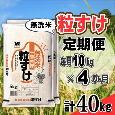 ふるさと納税 大網白里市 【毎月定期便】粒すけ 無洗米 10kg (5kg×2袋)全4回