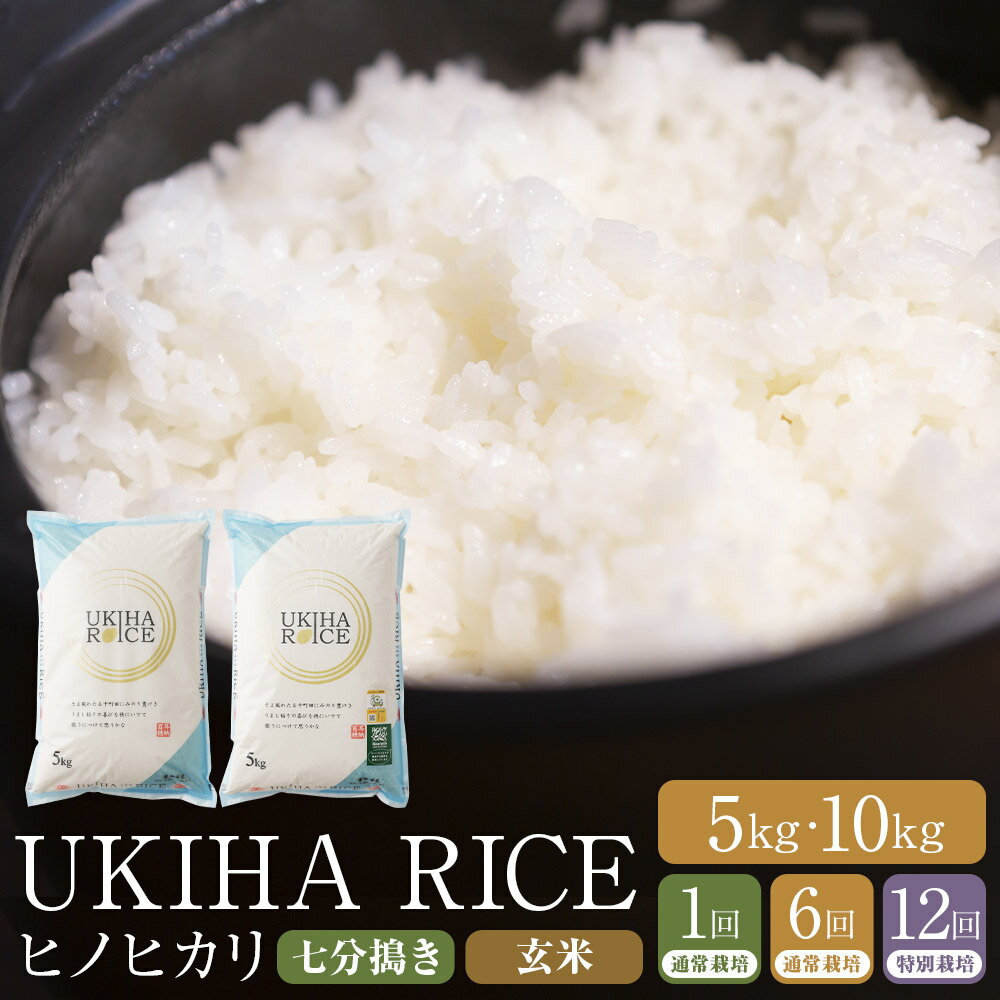 【ふるさと納税】〈選べる種類・容量・定期便〉みずほファーム UKIHA RICE （七分搗き5kg・玄米5kg）・【6ヶ月定期便】・【12ヶ月定期便】【2025年11月より順次発送予定】【特別栽培米】こめ 七分搗き 玄米 コメ ごはん ご飯 送料無料 福岡県 うきは市