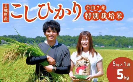 令和7年産新米 特別栽培米 コシヒカリ 5kg | コシヒカリ 茨城県 龍ケ崎市