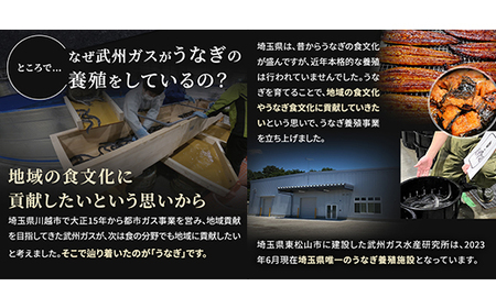 武州うなぎ 国産うなぎ蒲焼きざみ 冷凍真空パック（50g×5袋）【埼玉県 東松山市 鰻 ウナギ 誕生日 プレゼント 鰻の蒲焼き 特選品 美味しい お取り寄せ 贈り物 グルメ 旬 おすすめ 国産 選べる