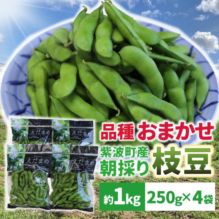 【ふるさと納税】採れたて枝豆1kg（250g×4袋）新鮮 産地直送 朝採り（DI008）