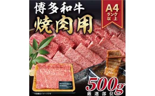 
2024年3月発送開始『定期便』博多和牛焼き肉用 500g　全3回【5149195】
