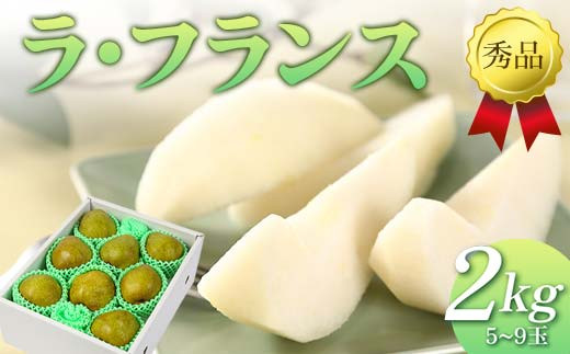 【先行予約（2026年11月中旬頃より順次発送）】ラ・フランス 2kg 秀品 FSY-2089