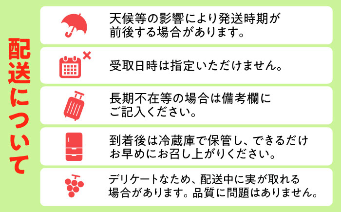 【先行予約・9月以降順次発送】シャインマスカット 1箱 (600g～700g×2房) 日田市 / JAおおいた [AREW005]