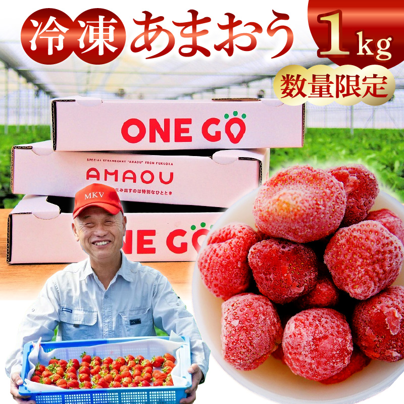 【数量限定】福岡県産あまおう（冷凍1kg）特別栽培_急速冷凍 いちご あまおう 1kg 冷凍 3Dフリーザー 長期保存可能 国産 サクサク シャーベット フルーツ デザート フレッシュ 果物 便利 安